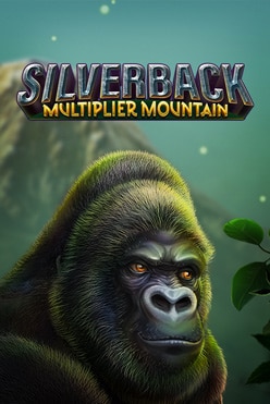 Silverback Multiplier Mountain