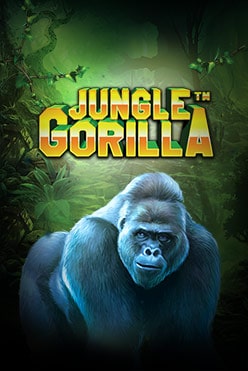 Игровой автомат Jungle Gorilla от поставщика Pragmatic Play на доллары и рубли в казино, зарегистрироваться и играть